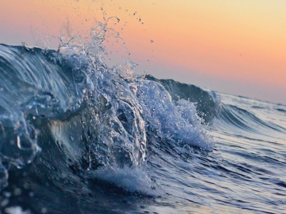 Sóng biển là gì và các loại sóng?